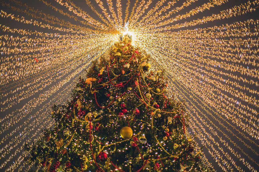 Sapin de Noël